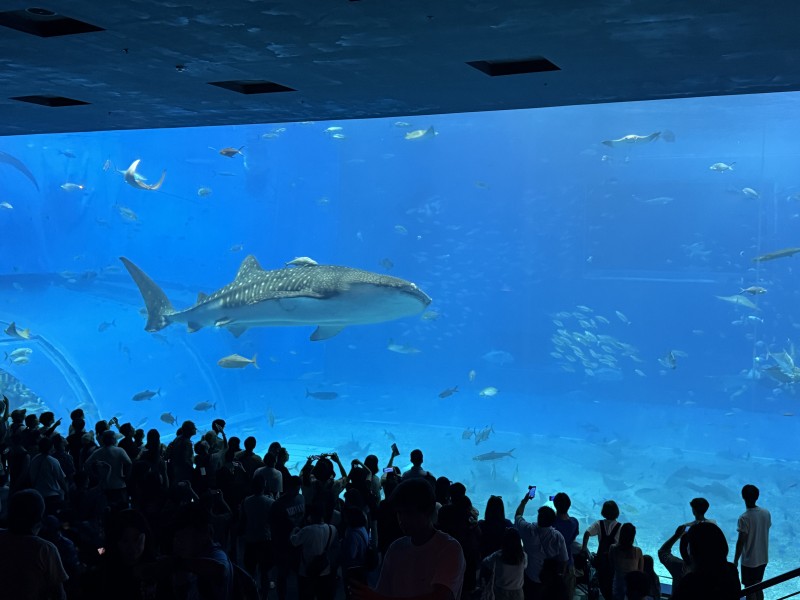 とにかく幸せだらけの7月 沖縄旅行 その1