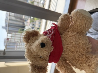 乗換と歩きどちらがお好みですか？