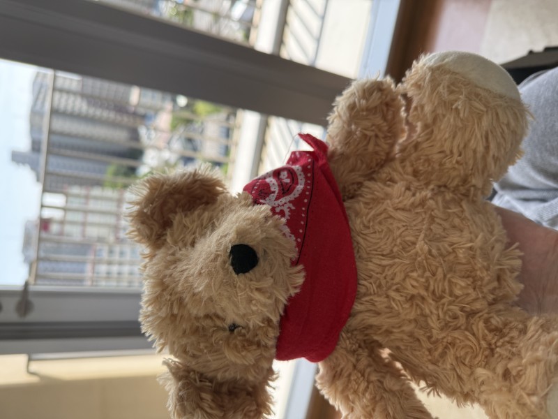 乗換と歩きどちらがお好みですか？